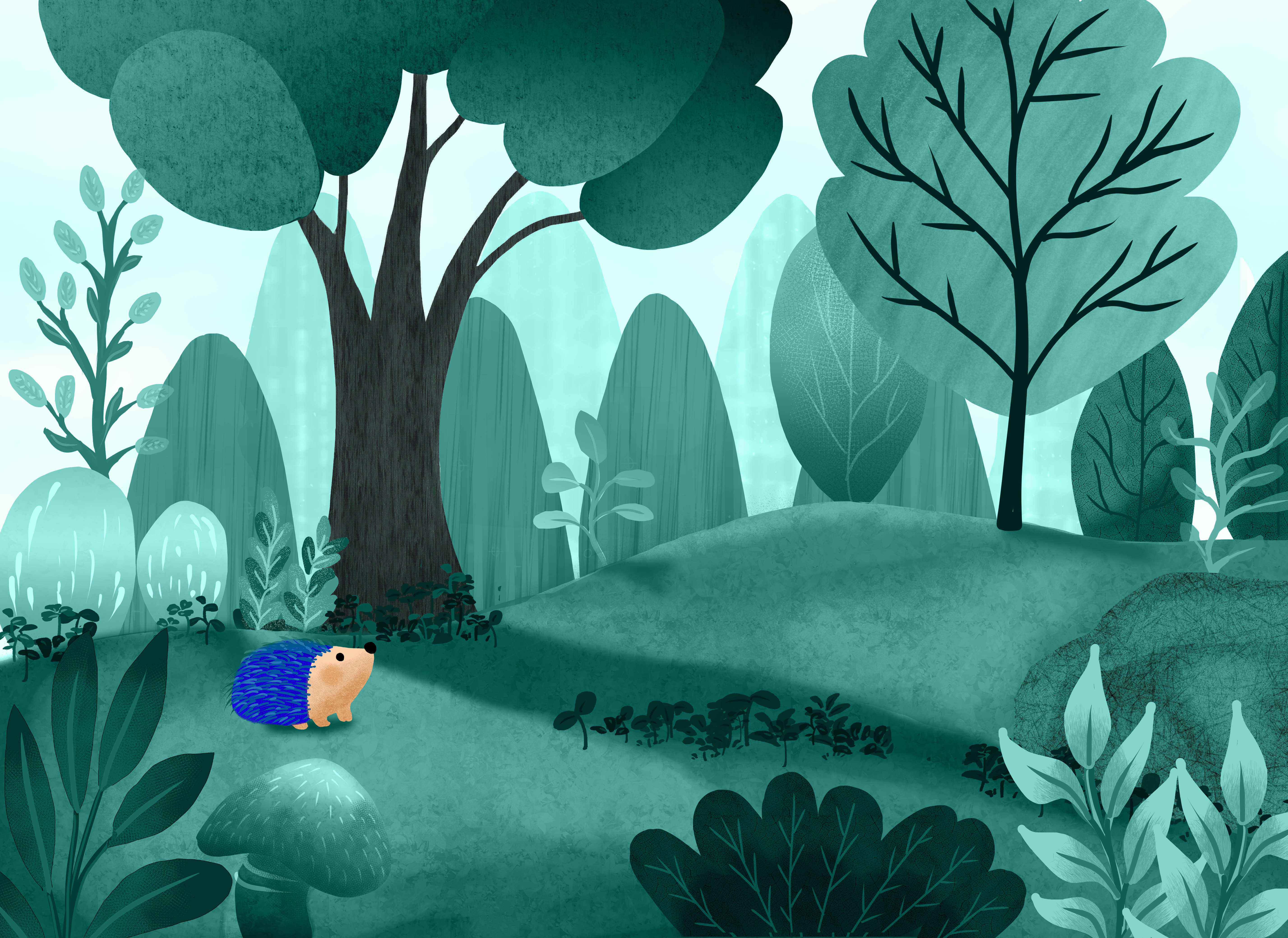 Illustration jeunesse 5